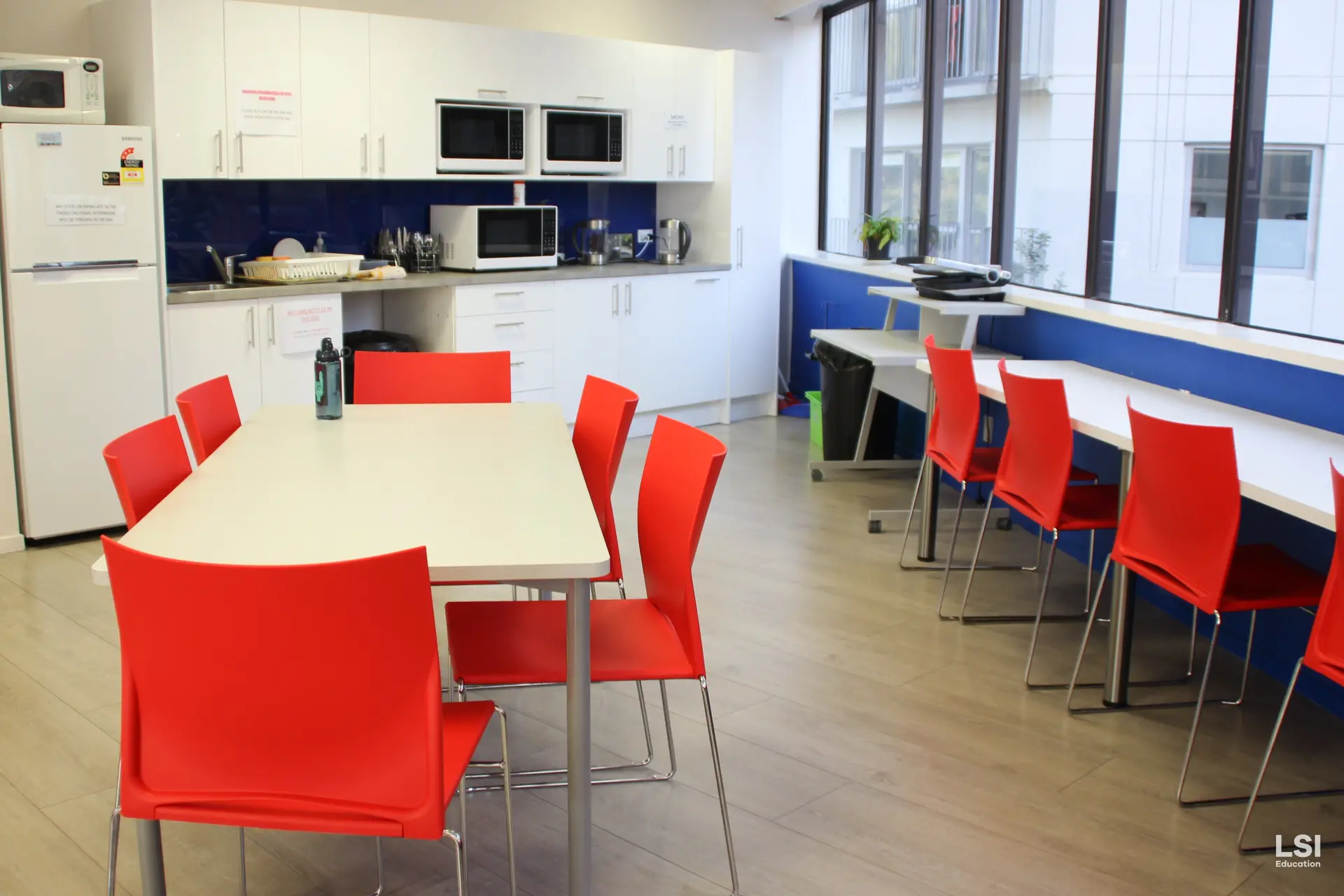 Work and Study New Zealand