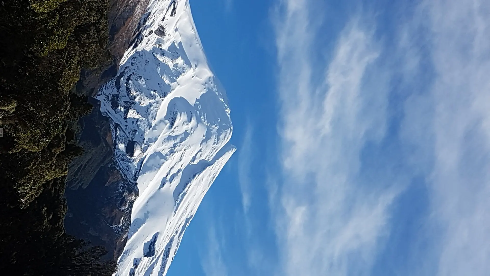 Work and Study New Zealand