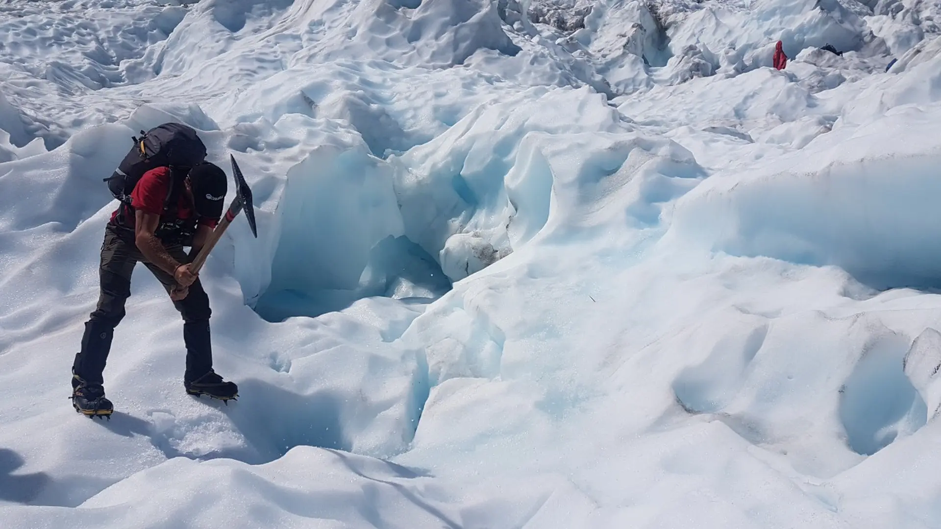 Work and Study New Zealand