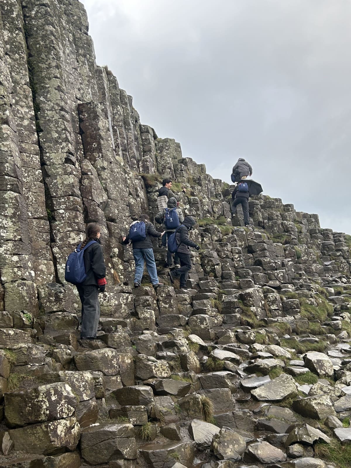 junior atlas program