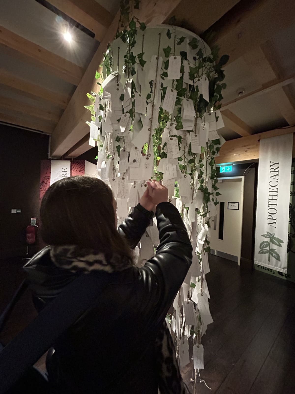 junior atlas program