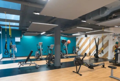 Habitación Individual (en suite)